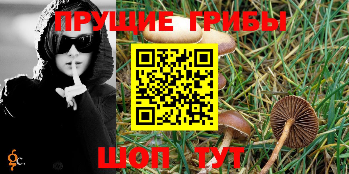 Галлюциногенные грибы Psilocybine cubensis  закладки  Моздок 