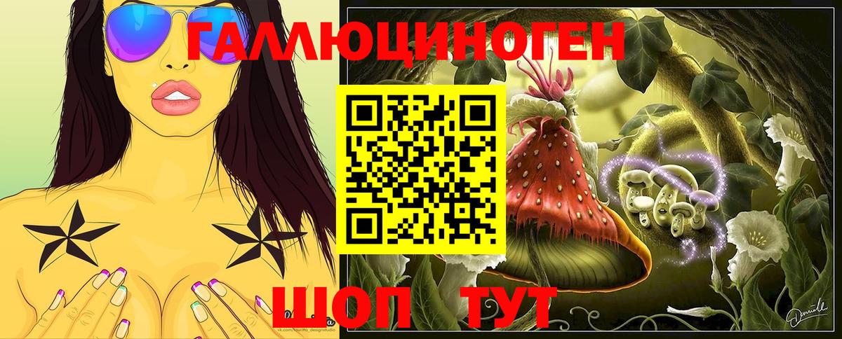 Псилоцибиновые грибы Psilocybine cubensis Моздок