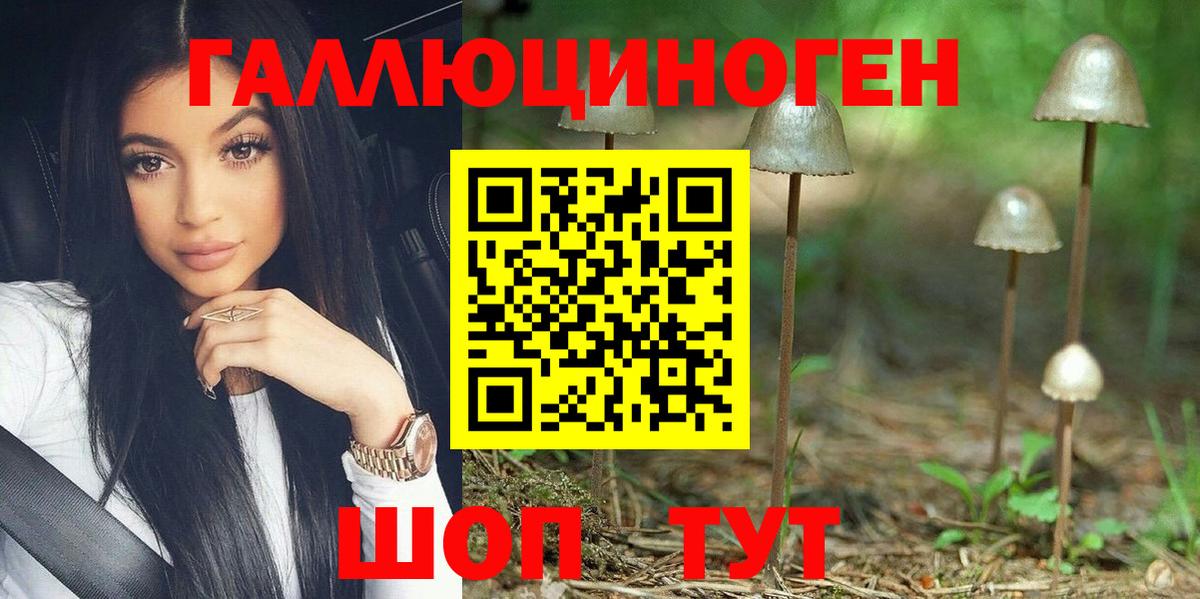 Моздок  Псилоцибиновые грибы прущие грибы  Вход с VPN 